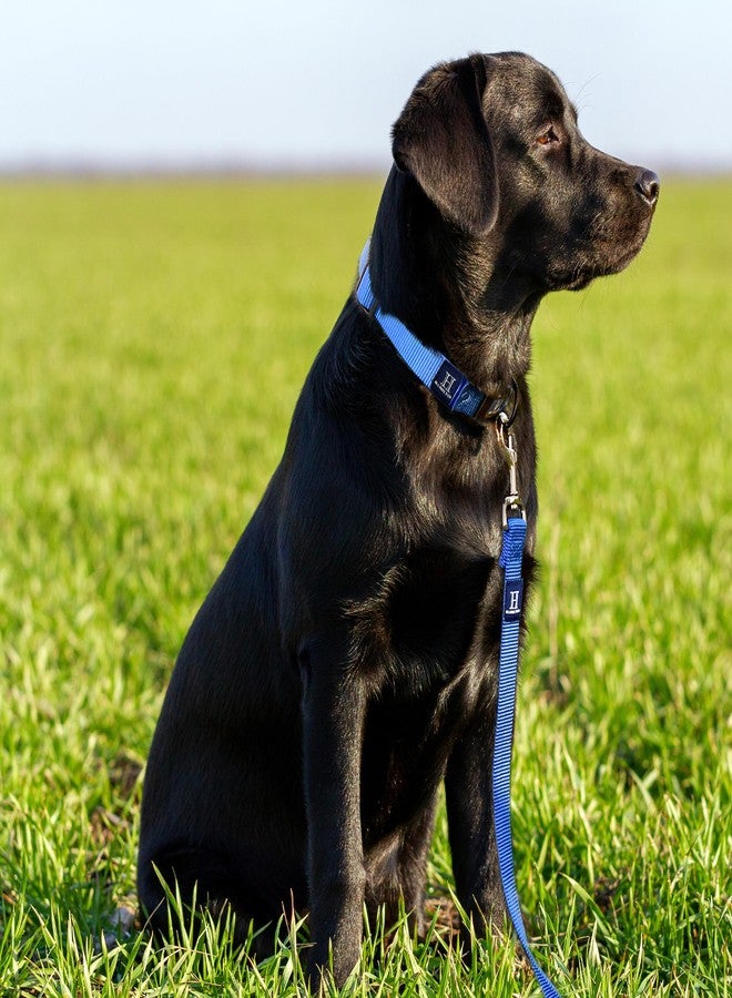 هاميلتون طوق كلاب فاخر سميك من النايلون من هاميلتون مزود بمشبك دوار، مقاس 1 بوصة × 6 أقدام، أسود - Image 4